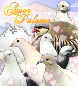 palomo1